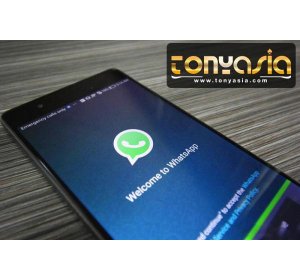 Ini Alasannya Kenapa WhatsApp Diblokir di China | Sabung Ayam Online | Bandar Judi Sabung Ayam